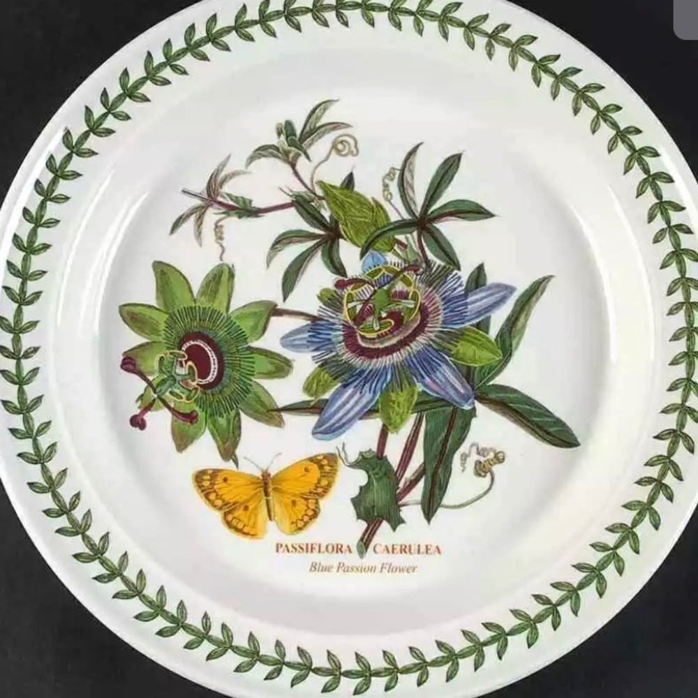 Port Meirion Dinner Plate Passiflora Caerulea